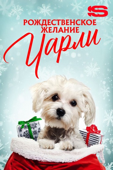 Рождественское желание Чарли