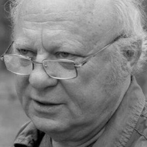 Зиновий Ройзман