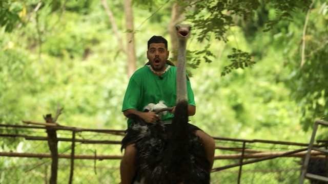 Тревел Баттл