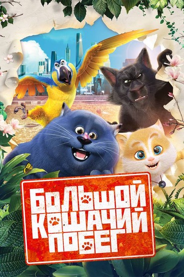 Большой кошачий побег