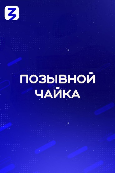 Позывной Чайка