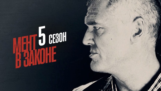 Мент в законе