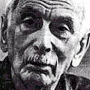 Николай Сергеев