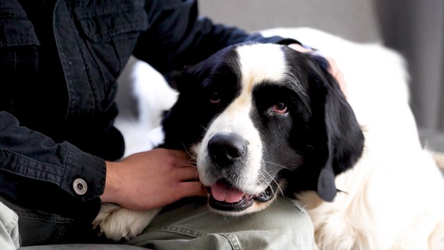 Чёрный список