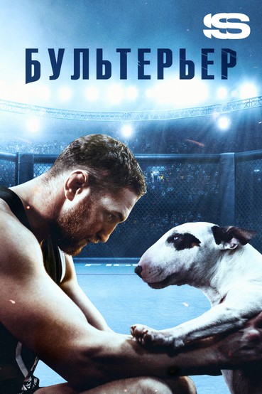 Бультерьер