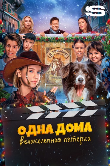Одна дома: Великолепная пятерка