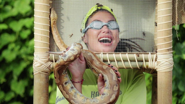 Ставка на любовь