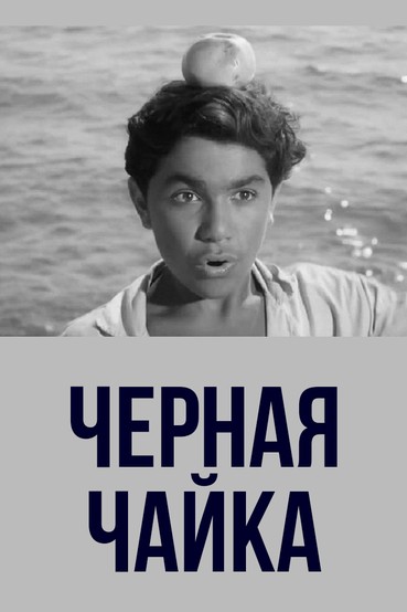 Черная чайка