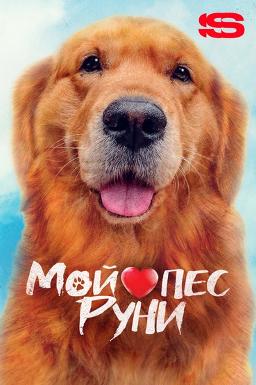 Мой пес Руни