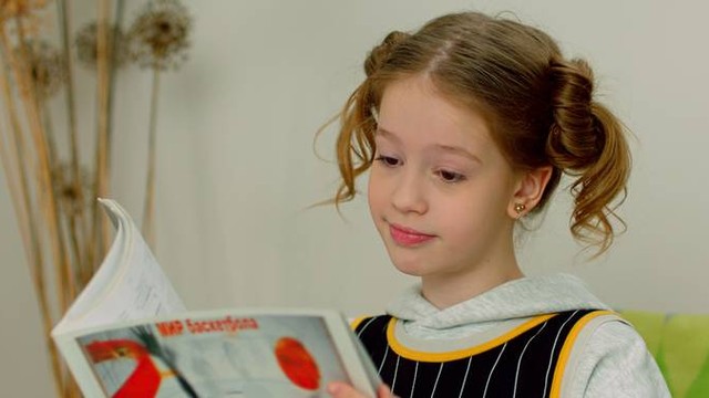 Дом Светофоровых