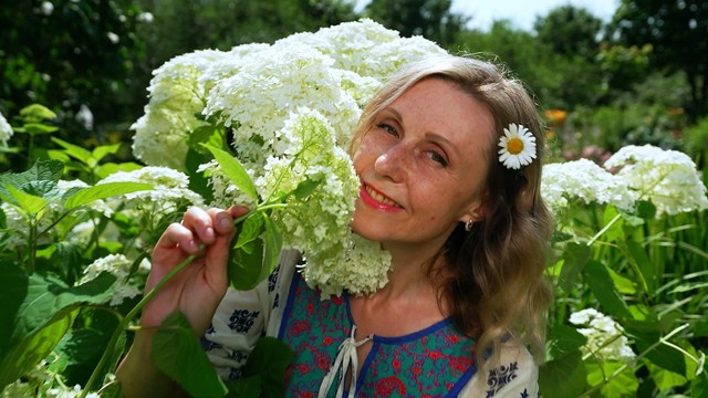 Четыре дачи