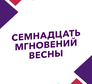 Логотип канала 'СЕМНАДЦАТЬ МГНОВЕНИЙ ВЕСНЫ'