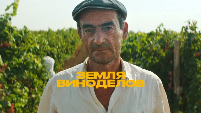Земля виноделов