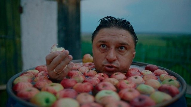 ЖУКИ