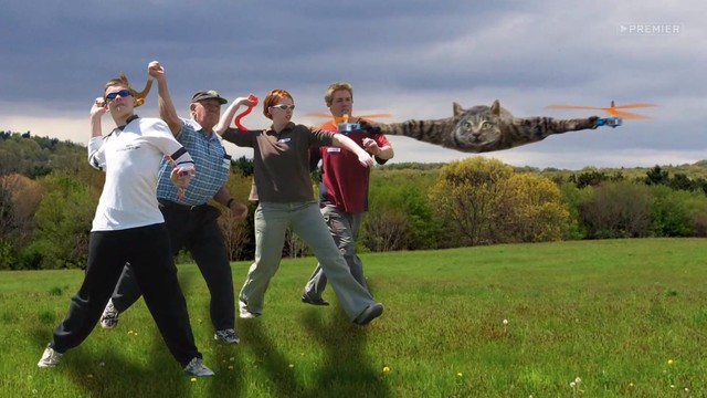 Богатство курицы