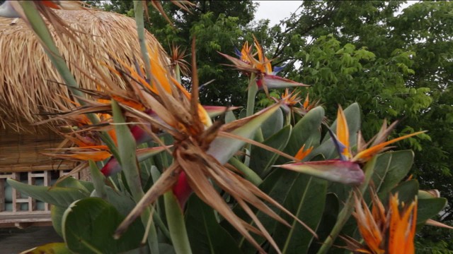 Два с половиной повара. Открытая кухня