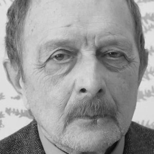 Константин Желдин