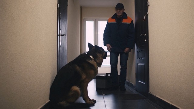 Мухтар. Новый след