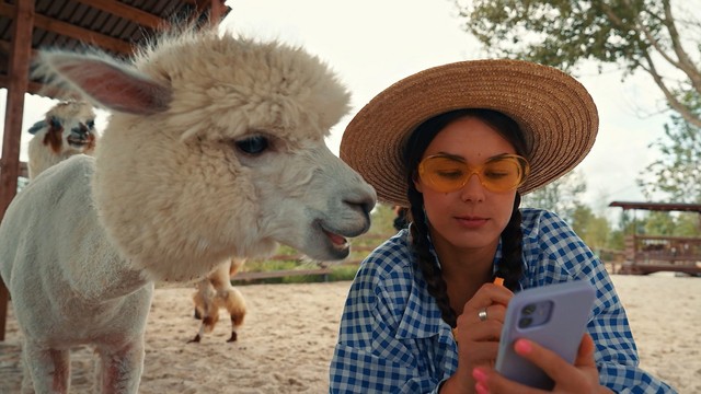 Пробный переезд