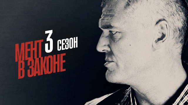 Мент в законе