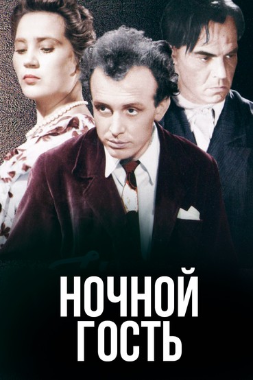 Ночной гость