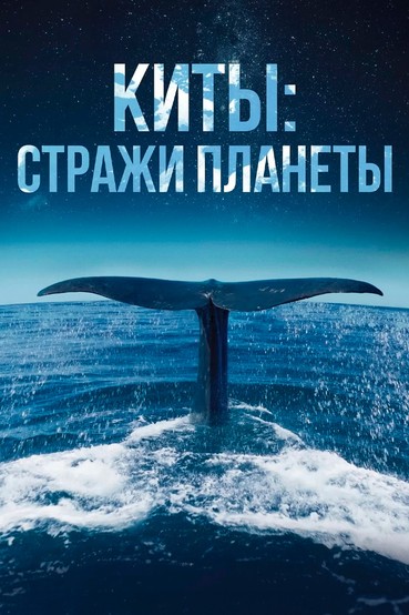 Киты: Cтражи планеты