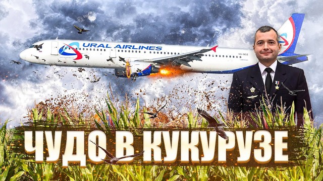 Чудо на кукурузном поле «Уральских авиалиний». 15 августа 2019 года