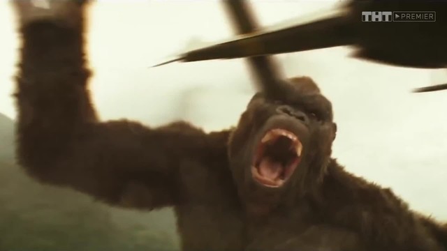 Бессмертное кино