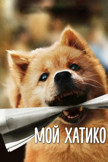 Мой Хатико