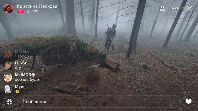 Сама дура