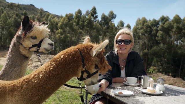 Тревел Баттл