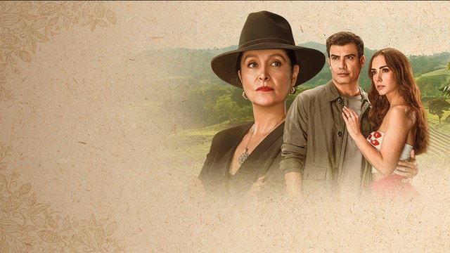 Горькая любовь