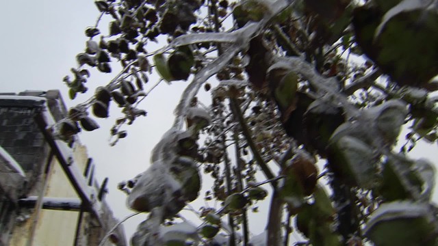 Экстрасенсы ведут расследование