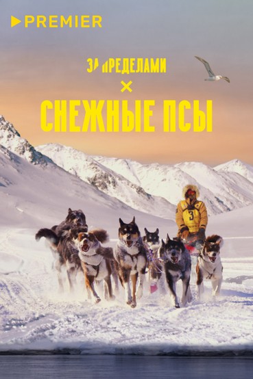 Снежные псы
