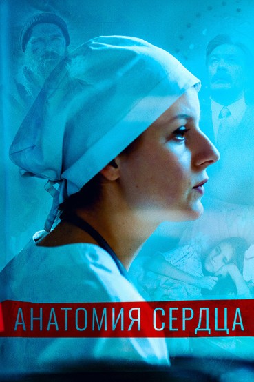 Анатомия Сердца
