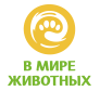 В мире животных HD