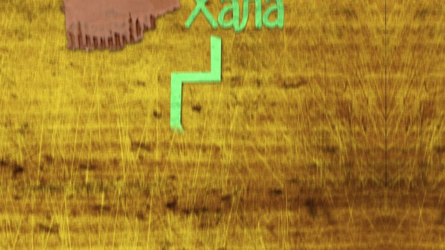 Два с половиной повара. Открытая кухня