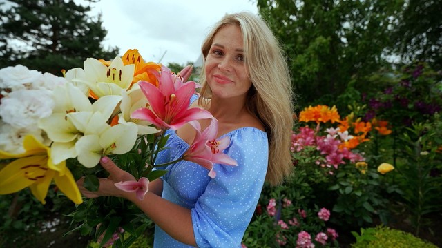 Четыре дачи