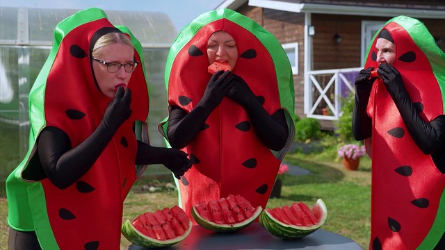 Четыре дачи