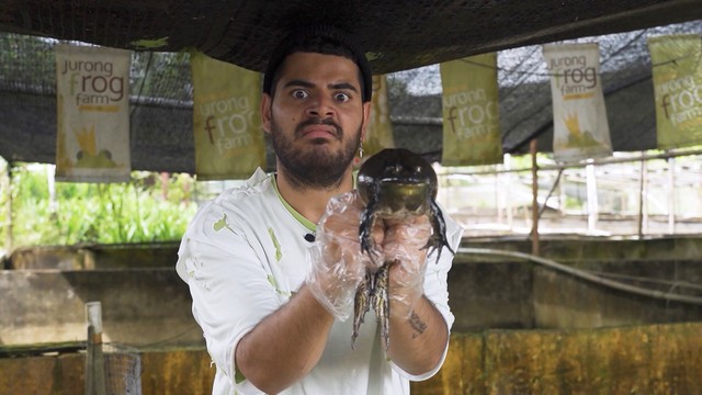 Тревел Баттл