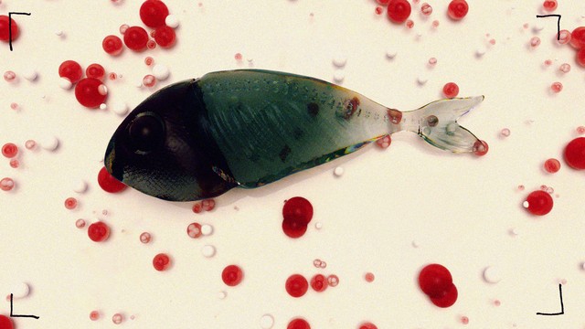 Вредный мир