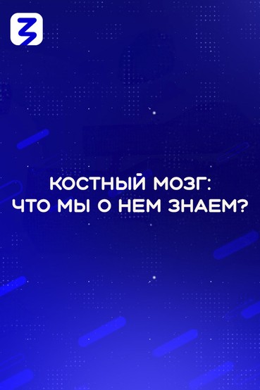 Костный мозг: что мы о нем знаем?