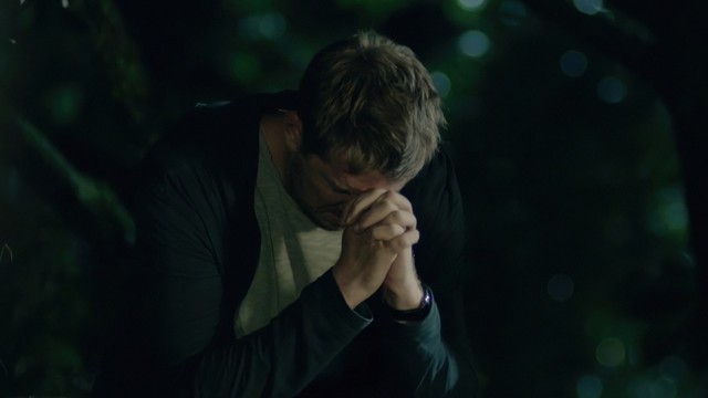 Живой (2017)