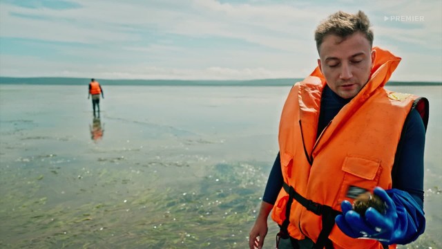 Пробный переезд