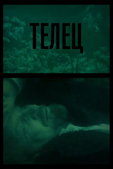Телец
