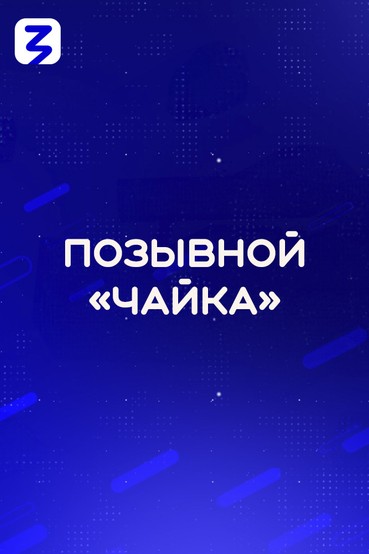 Позывной «Чайка»