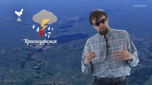 Богатство курицы