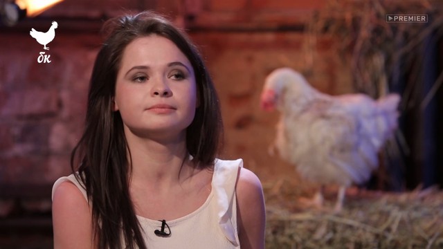 Богатство курицы