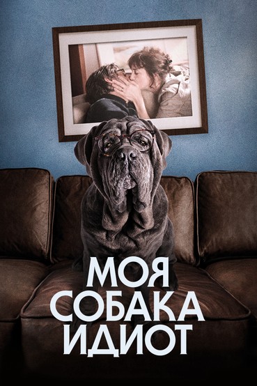 Моя собака идиот