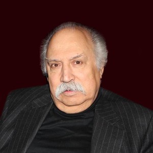 Владимир Досталь